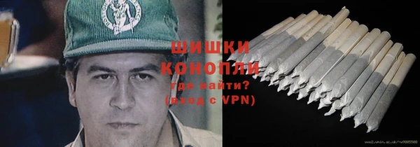 мдпв Верея