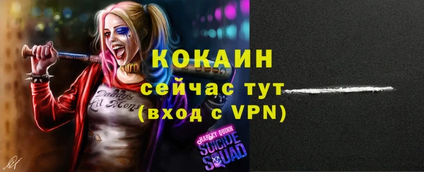 твердый Верхний Тагил