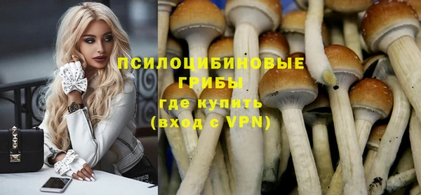 твердый Верхний Тагил