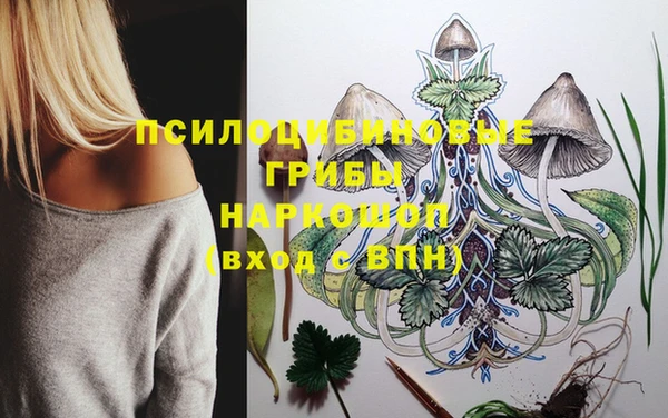 мдпв Верея