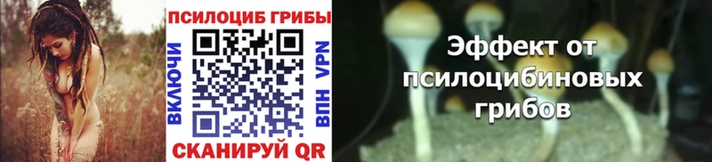 наркошоп  ссылка на мегу рабочий сайт  площадка Telegram  Геленджик  Галлюциногенные грибы Psilocybine cubensis 